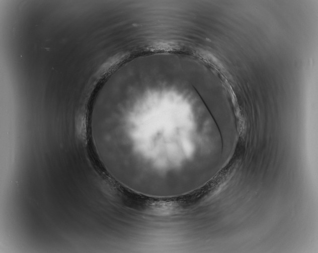 X0000096390444200802211145
