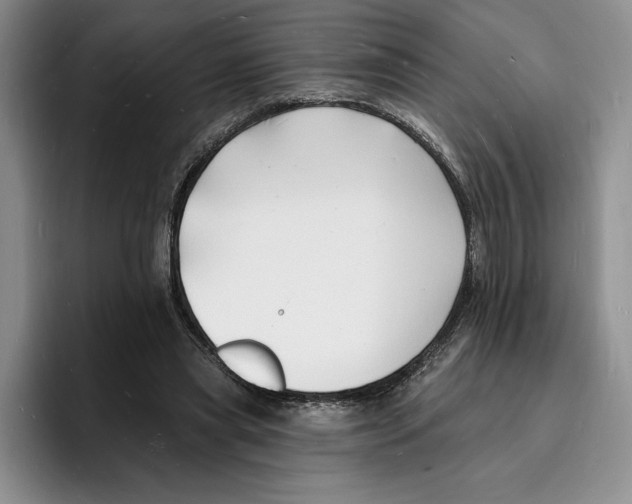 X0000096390445200802211145