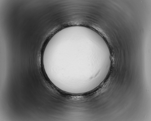 X0000096390446200802211145