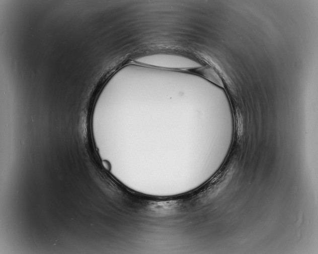 X0000096390447200802211145