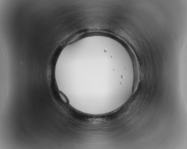 X0000096390448200802211145