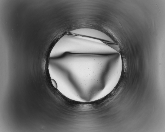X0000096390451200802211146