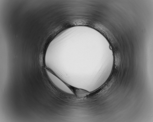 X0000096390453200802211146