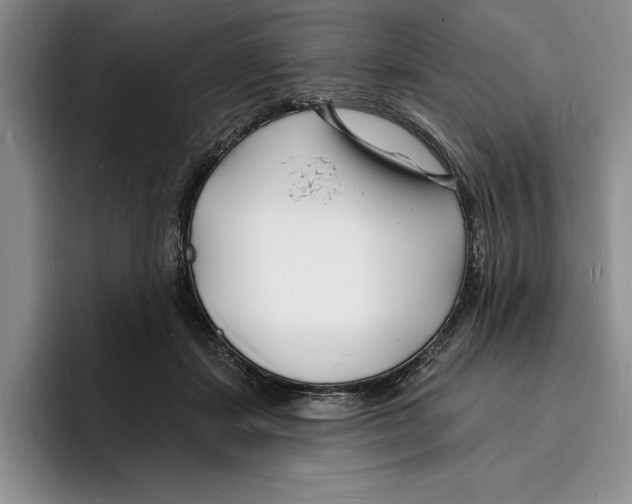 X0000096390459200802211146