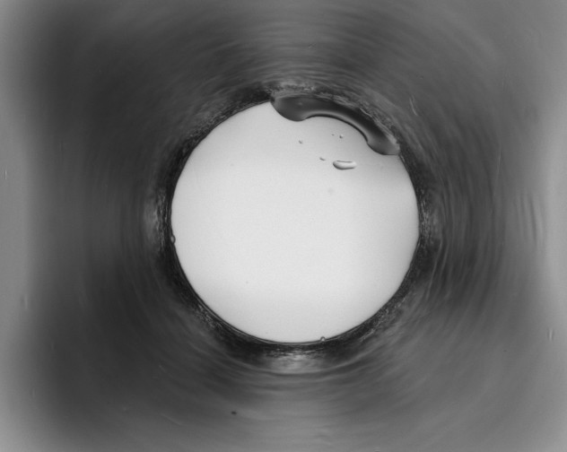 X0000096390460200802211146