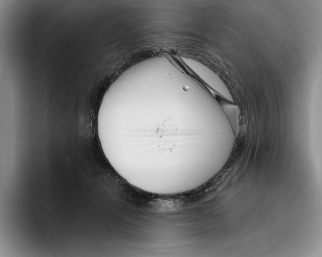 X0000096390464200802211146