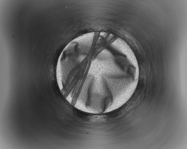 X0000096390465200802211146