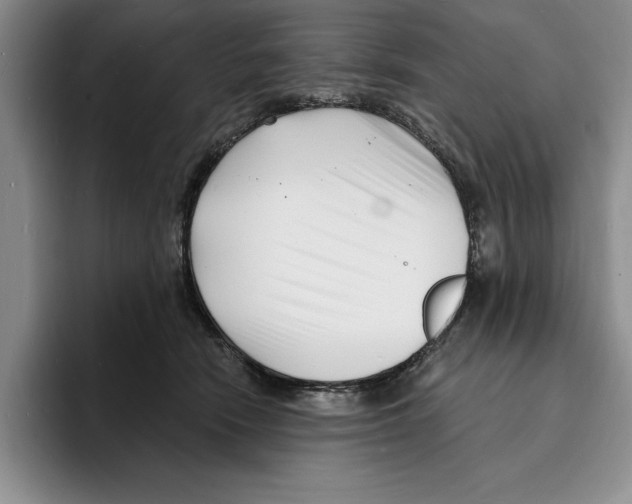 X0000096390466200802211146
