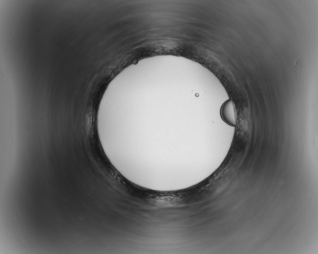 X0000096390468200802211146