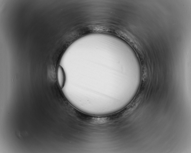X0000096390469200802211146