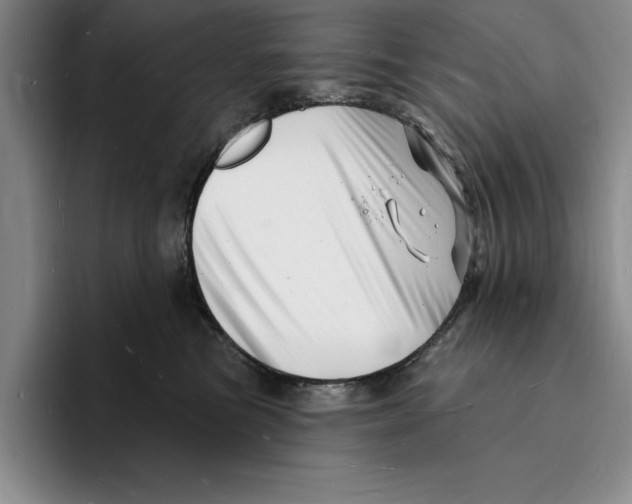 X0000096390473200802211146