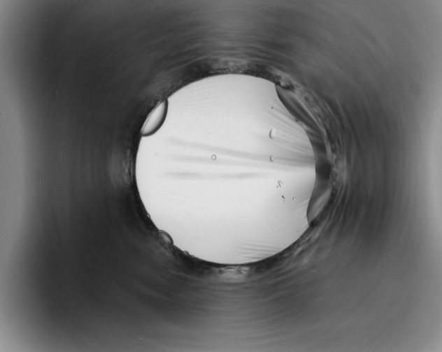 X0000096390474200802211146