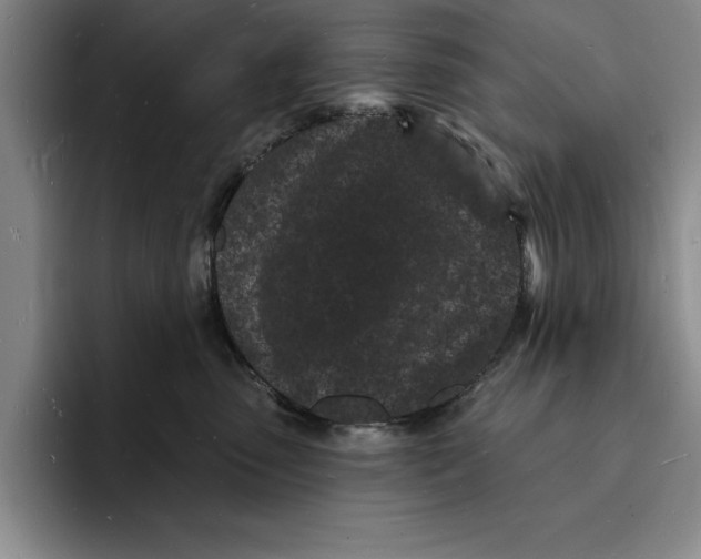 X0000096390475200802211146