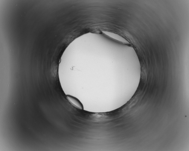 X0000096390477200802211146