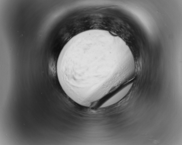 X0000096390479200802211146