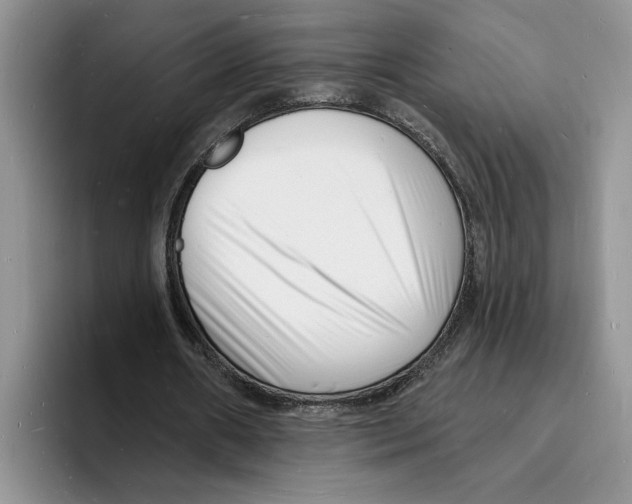 X0000096390482200802211145