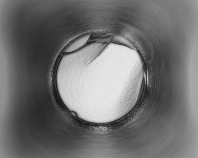 X0000096390483200802211145