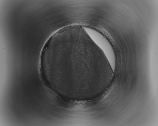 X0000096390484200802211145