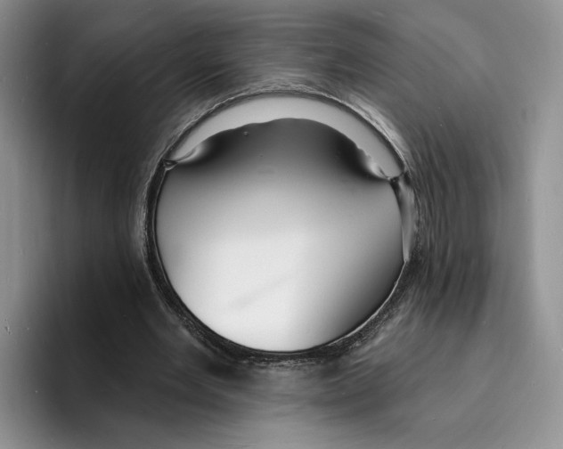 X0000096390485200802211145