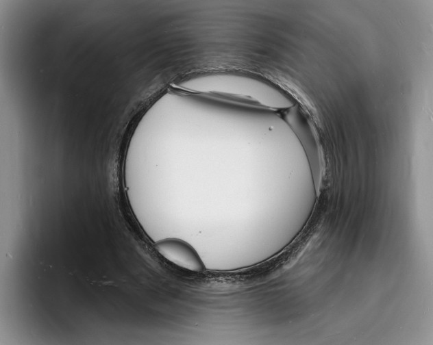 X0000096390489200802211145