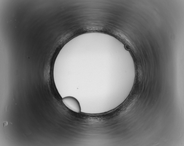 X0000096390490200802211145