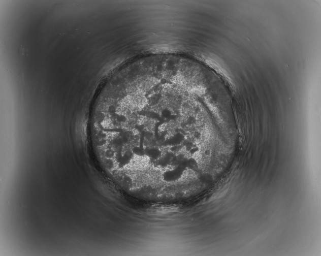X0000096390491200802211145