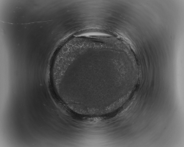 X0000096390492200802211145