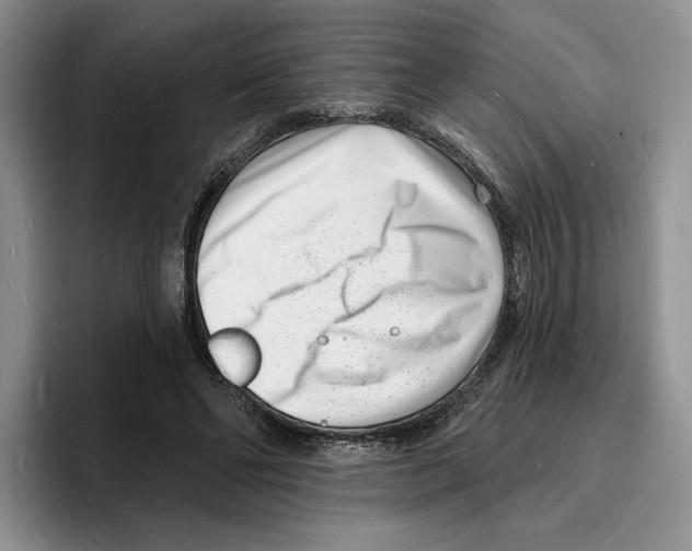 X0000096390494200802211145