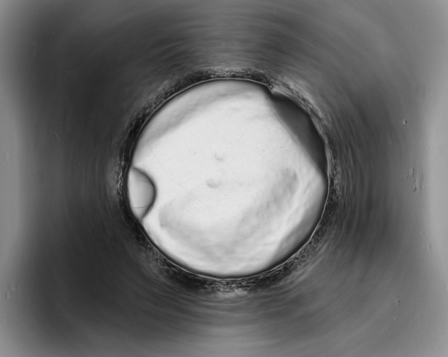 X0000096390495200802211145