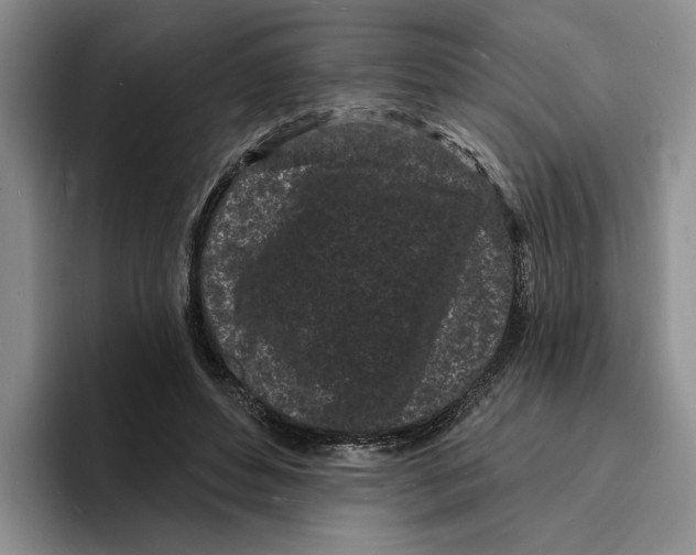 X0000096390496200802211145