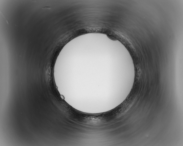 X0000096390498200802211145
