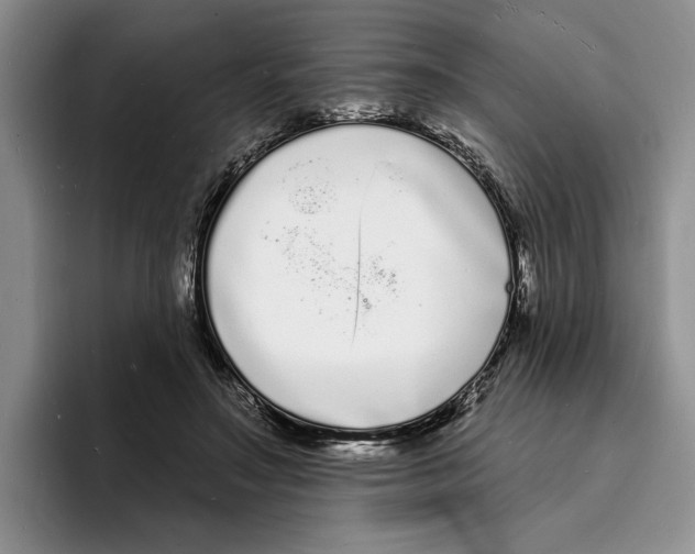 X0000096390499200802211145