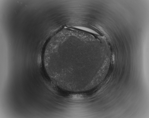 X0000096390500200802211145