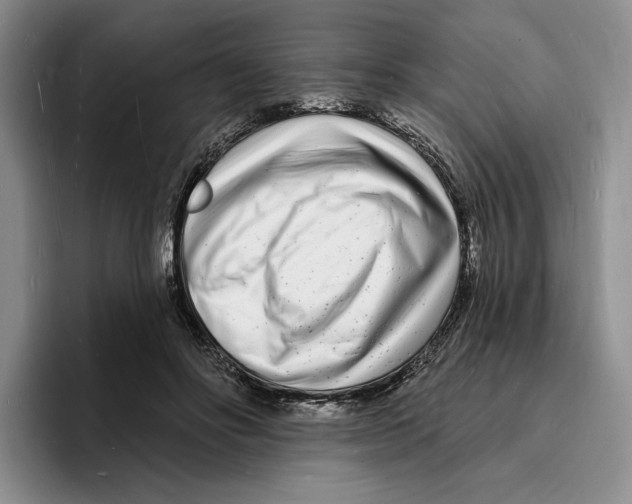 X0000096390502200802211145