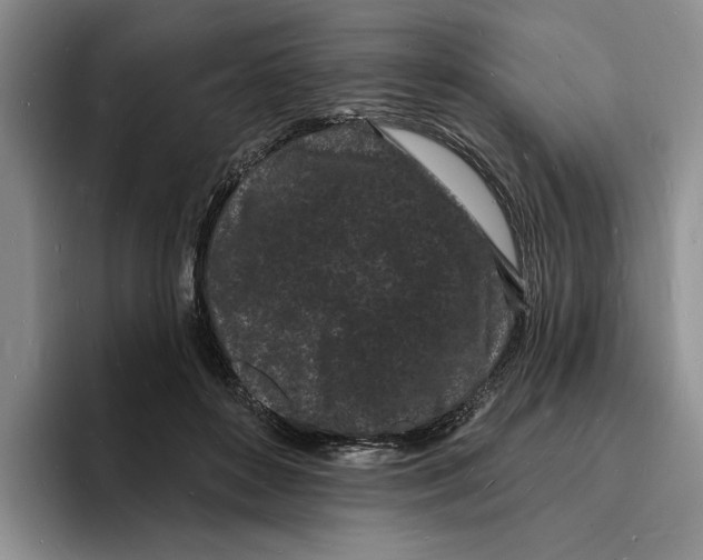 X0000096390504200802211145