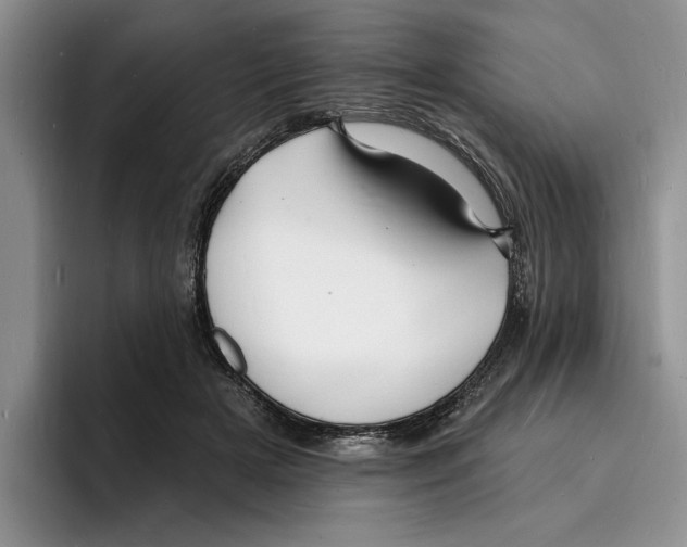 X0000096390505200802211145