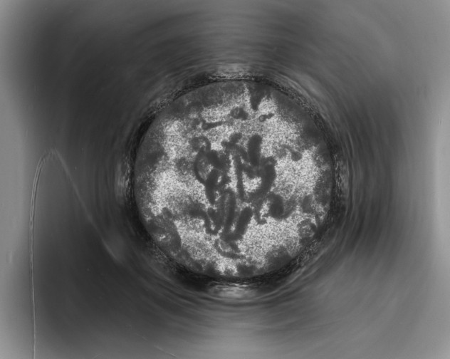 X0000096390507200802211145