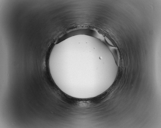 X0000096390508200802211145