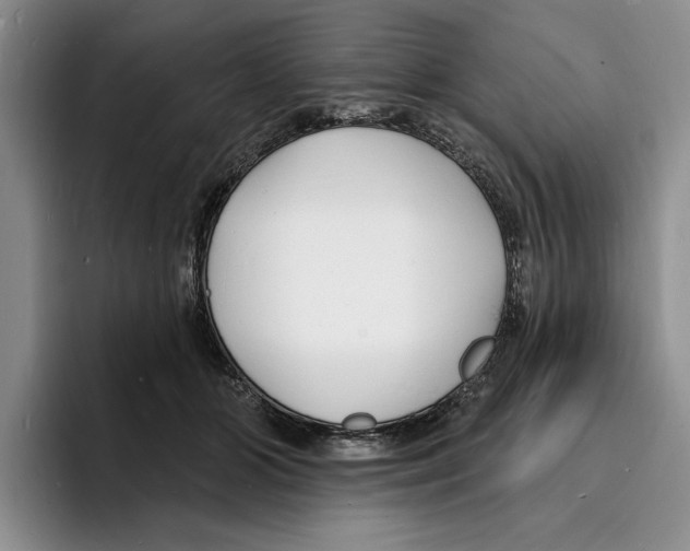 X0000096390510200802211145