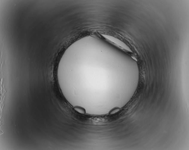 X0000096390512200802211145