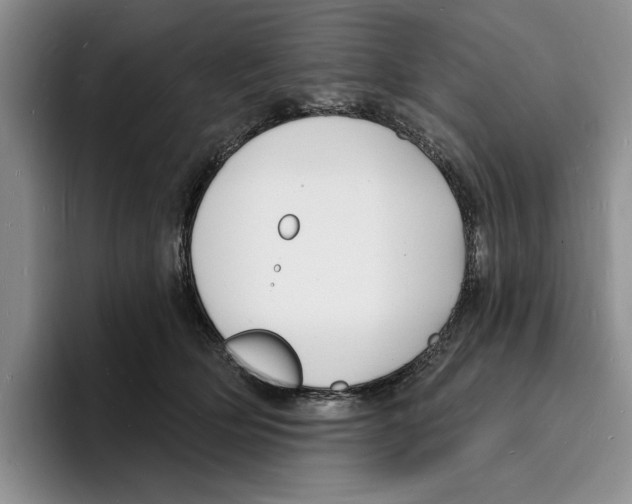 X0000096390514200802211145