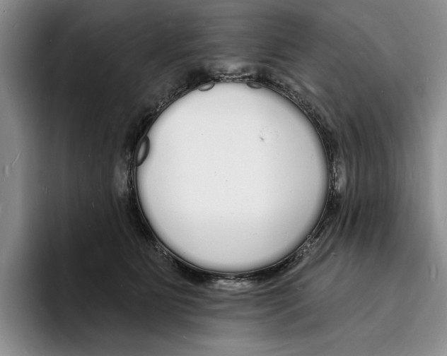 X0000096390515200802211145