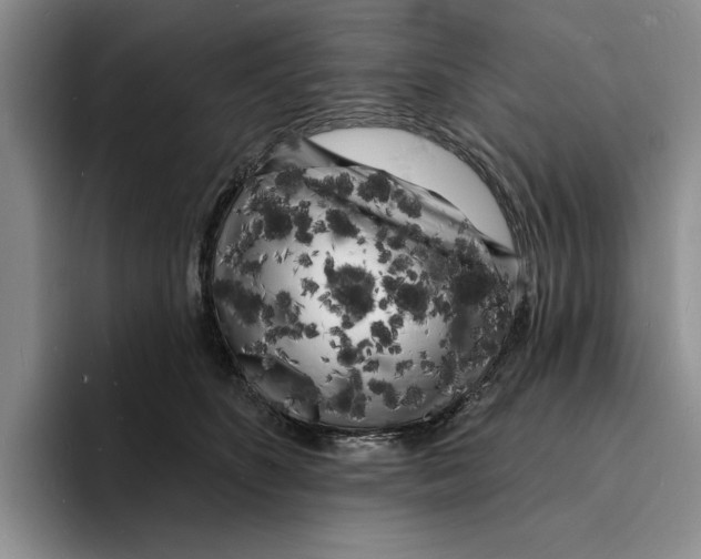 X0000096390516200802211145