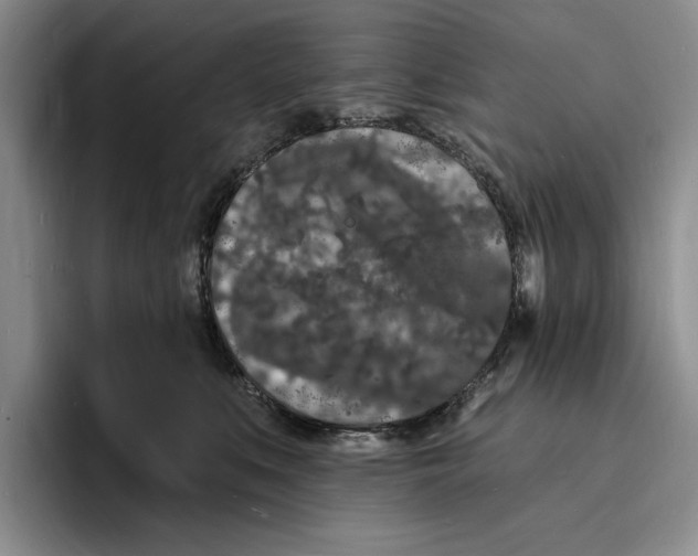 X0000096390519200802211145