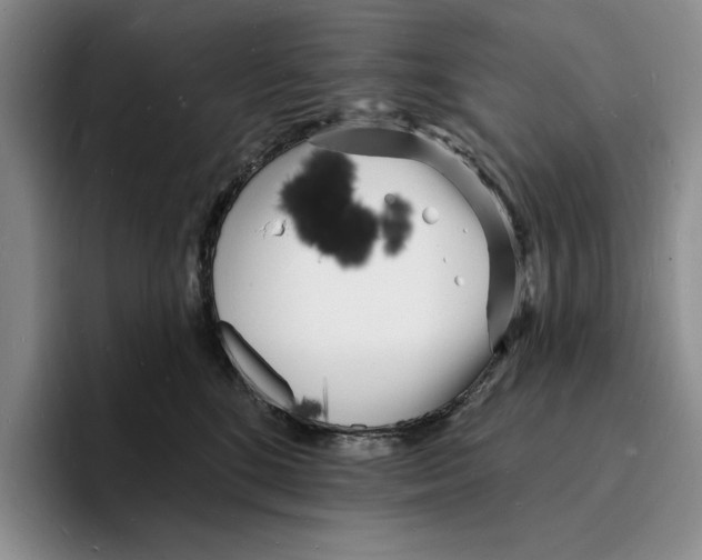 X0000096390520200802211145