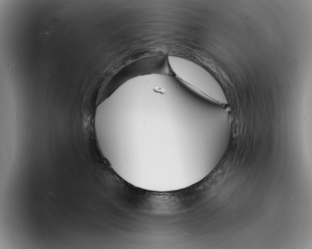 X0000096390521200802211145