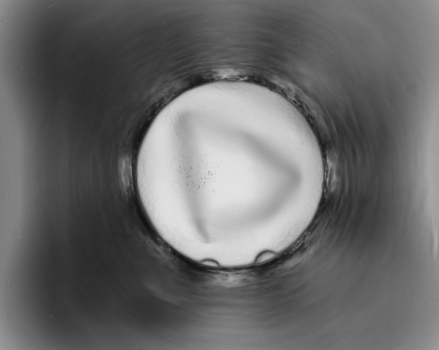 X0000096390523200802211145