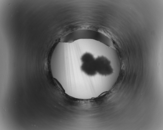 X0000096390524200802211145