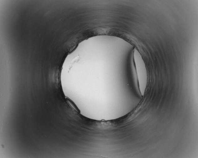 X0000096390525200802211145