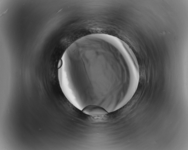 X0000096390526200802211145